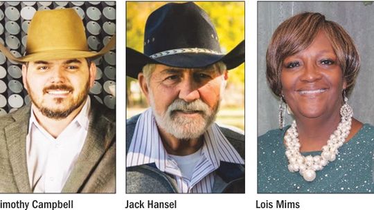 3 Candidates Running for Teague Mayor