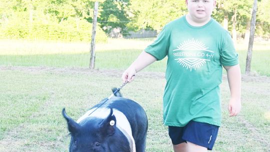 Baillio Ready for Freestone County Fair