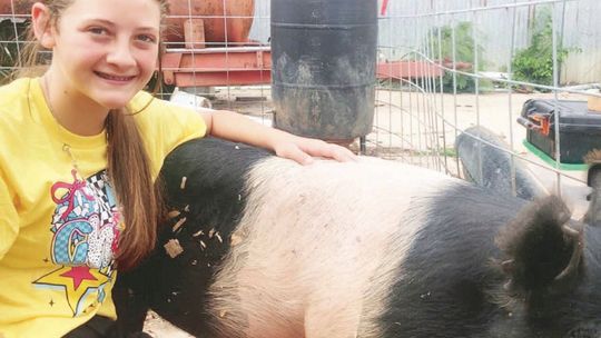 Buniger Ready for Freestone County Fair