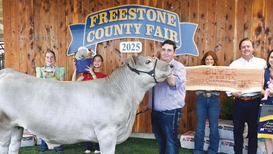 Grand Champion Steer Sells for $32K