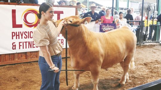 Grand Champion Steer Sells for $60K