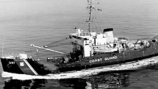 The Blackthorn Legacy