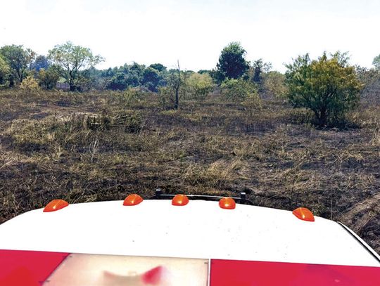 13 Acres Burn in Wortham