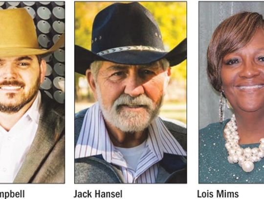 3 Candidates Running for Teague Mayor