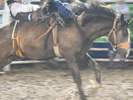 95th Annual Teague 4th of July Rodeo