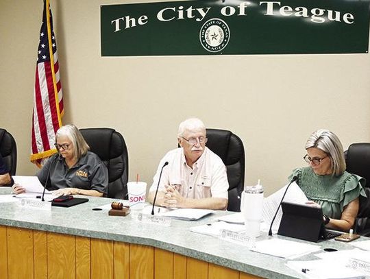 Aldermen OK variance for small house