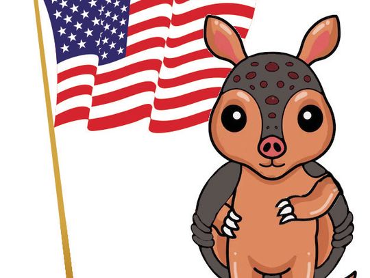 Armadillo Naming Frenzy Continues — Cast Your Vote!