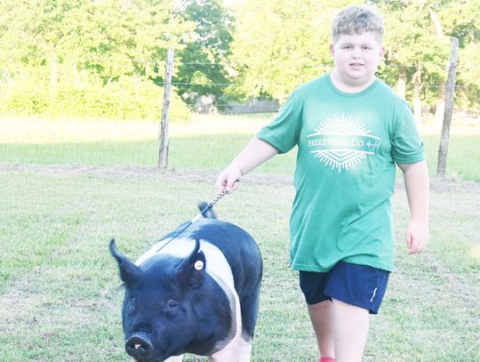 Baillio Ready for Freestone County Fair