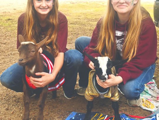 Big T’s Family Bash