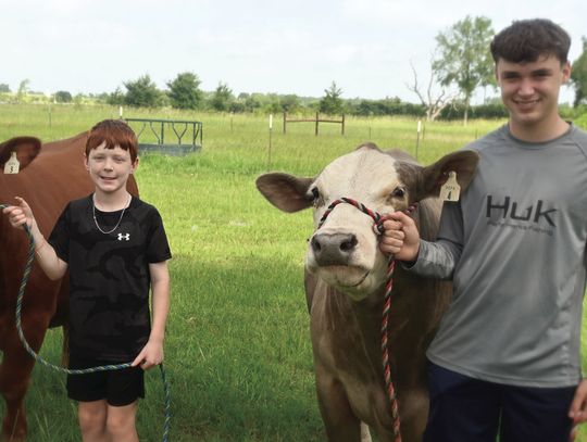 Brockman Brothers Ready to Show Steers at Freestone County Fair