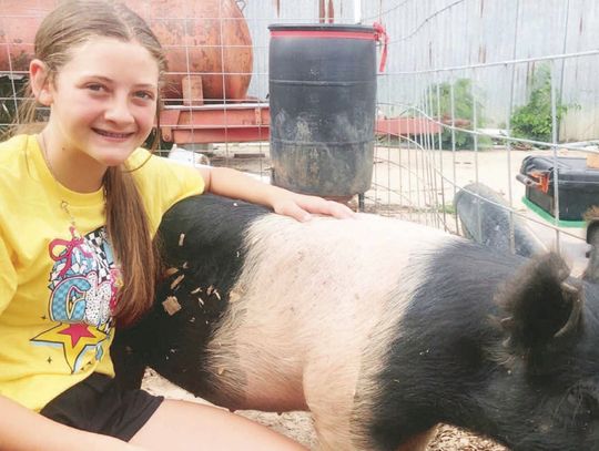 Buniger Ready for Freestone County Fair