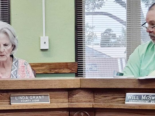 During a specially called meeting on Monday, Sept. 23, Freestone County Precinct 2 Commissioner Will McSwane gives his fellow commissioners the reasons he believes the county needs to replace a bridge on County Road 640, which was previously damaged by a storm . At left can be seen Freesto...