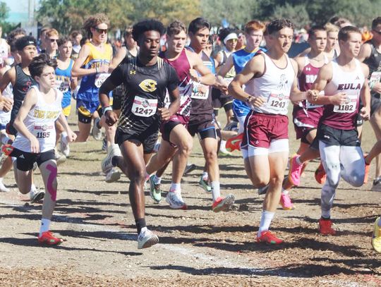 Cross-Country Results from the State CC Meet Finale