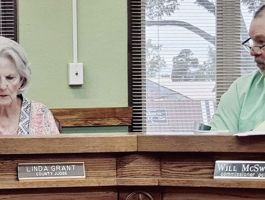 During a specially called meeting on Monday, Sept. 23, Freestone County Precinct 2 Commissioner Will McSwane gives his fellow commissioners the reasons he believes the county needs to replace a bridge on County Road 640, which was previously damaged by a storm . At left can be seen Freesto...