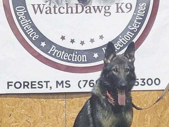 Fairfield PD Adding K-9 Unit