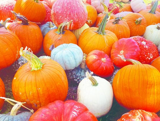 Fall is Here!