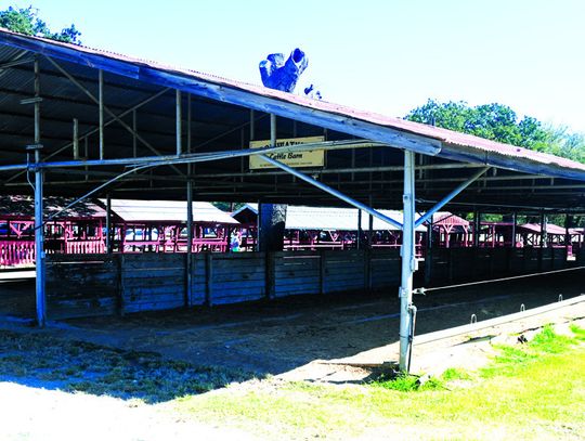 The Don Watkins Cattle Barn will be rebuilt prior to the 2025 Freestone County Fair. Photo by Mitchell Pate/Fairfield Recorder