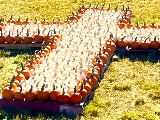 FFBC Pumpkin Patch Open Through Oct. 31