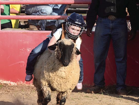 Freestone County Rodeo Mutton Bustin’