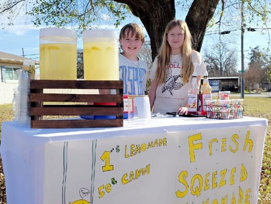 Fresh Squeezed Lemonade