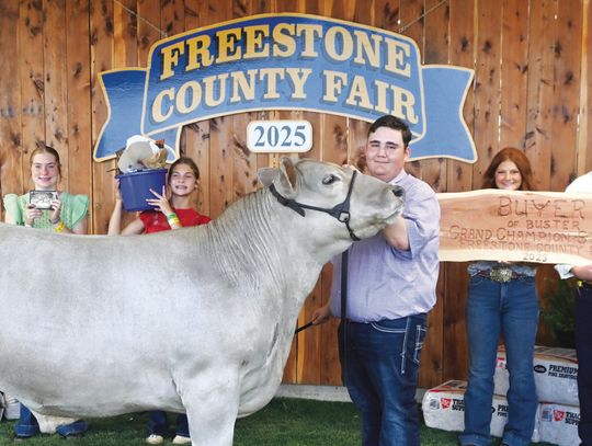 Grand Champion Steer Sells for $32K