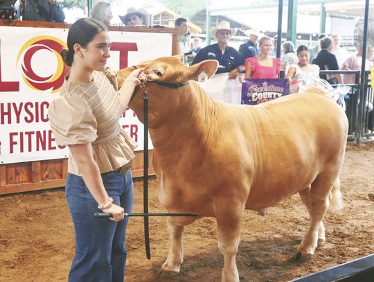 Grand Champion Steer Sells for $60K