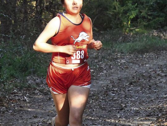 Kuzmich, Diaz advance to regional meet