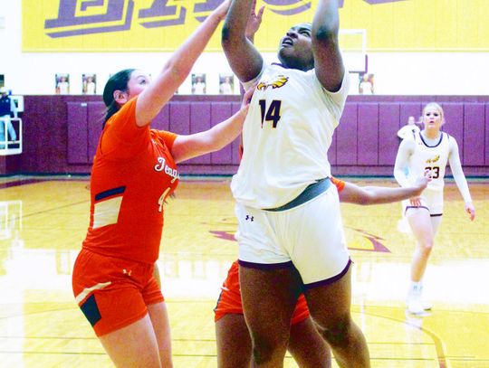 Lady Eagles Basketball