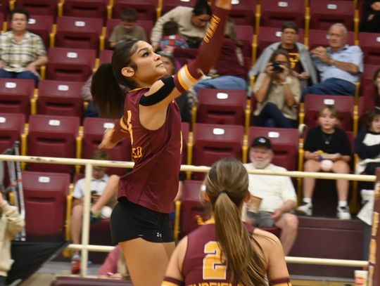 Lady Eagles Defeat Buffalo, Mexia