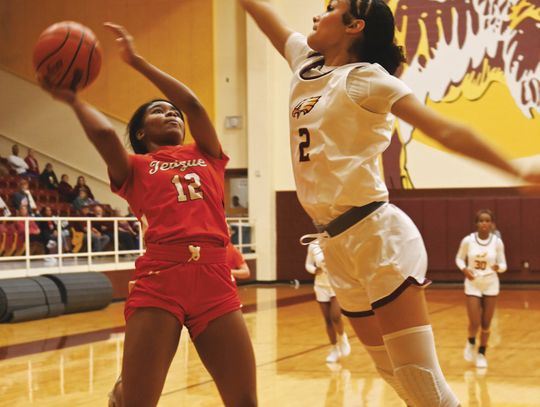 Blayke Brackens jumps to block a shot of Teague’s A’Shaiya Jones. Photo by Mitchell Pate/Fairfield Recorder