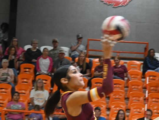 Lady Eagles Defeat Teague, Westwood