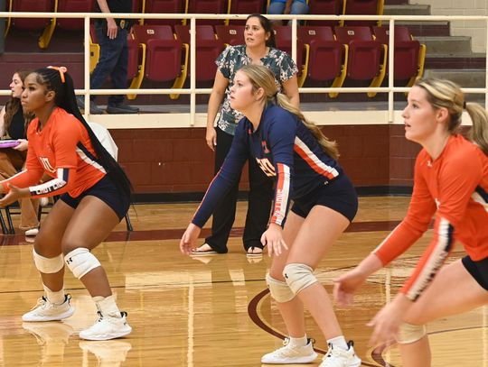 Lady Lions 1-1 in District Play
