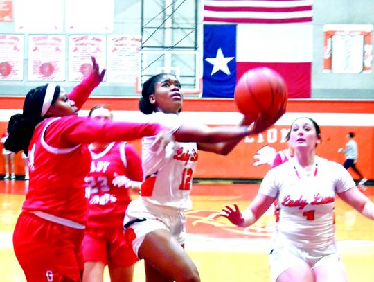 Lady Lions Basketball