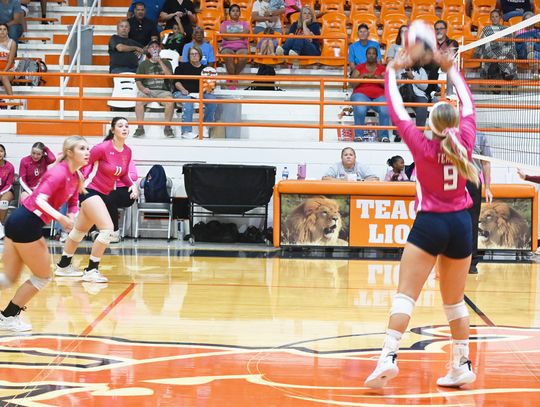 Lady Lions Clinch Playoff Spot