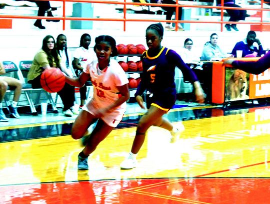 Lady Lions Compete in Fairfield Tournament