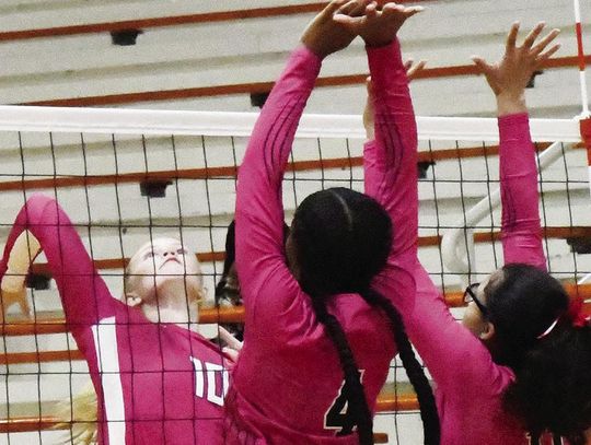 Lady Lions defeat Buffalo and Mexia
