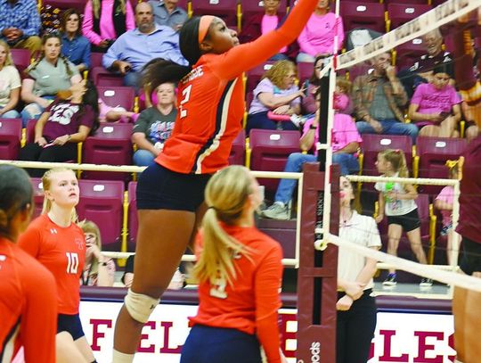 Lady Lions earn all-district honors