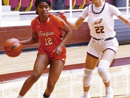 Lady Lions fall to Fairfield in district opener