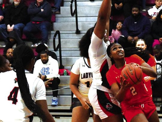 Ladycats top Teague 46-29
