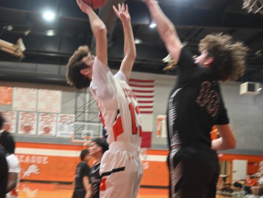 Lions Defeat Buffalo in District Opener