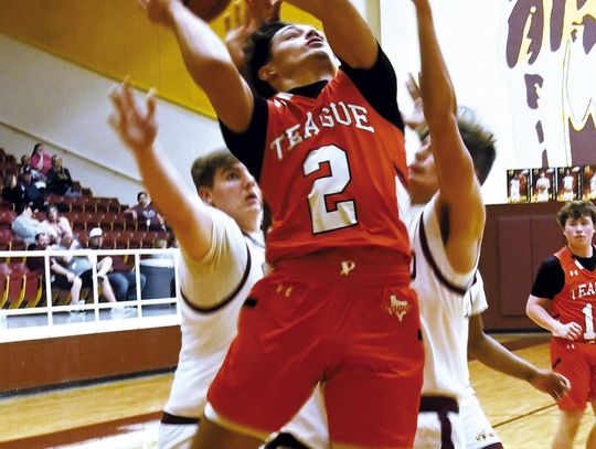 Lions fall to Fairfield