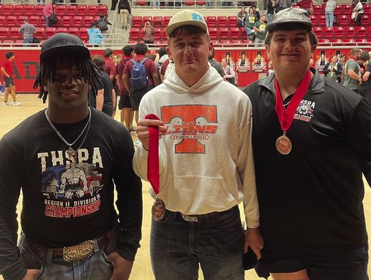 Lions grab third at Fairfield track meet
