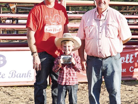 Mutton Bustin