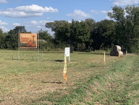 Pumpkin Patch Opening Oct. 11