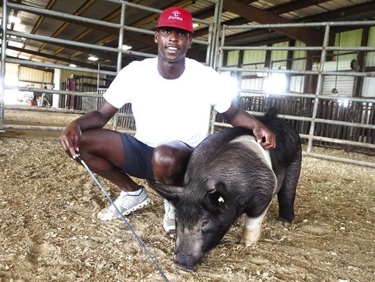 Randle ready for Freestone County Fair