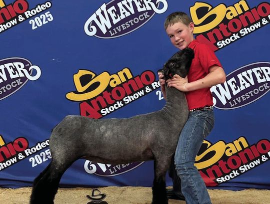 Reserve Champion at San Antonio