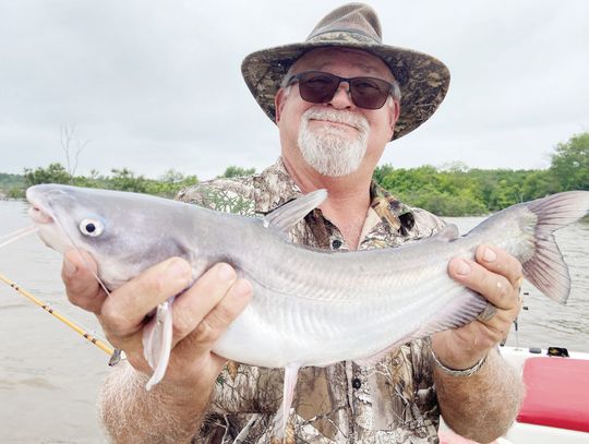 Guide David Hanson with one of many blue catfish he and Luke landed last week at Tawakoni, fishing the mouth of creeks. Photo by Luke Clayton