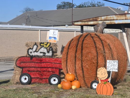 Scarecrows Around the Courthouse