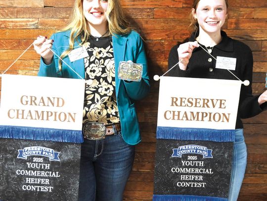 Grace Smith of Teague FFA and Ivy Wren of Fairfield 4-H won Grand and Reserve Champion respectively at the 2025 Freestone County Fair Youth Commercial Heifer Contest.