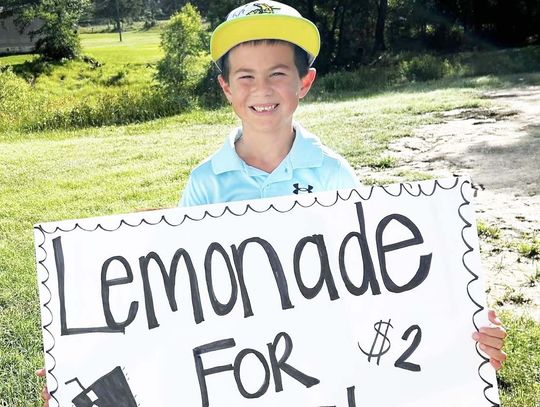 Summer Fun - Lemonade for Sale